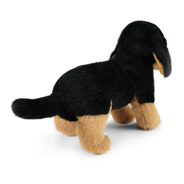 Plišasti pes jazbečar 23 cm SOFT COLLECTION