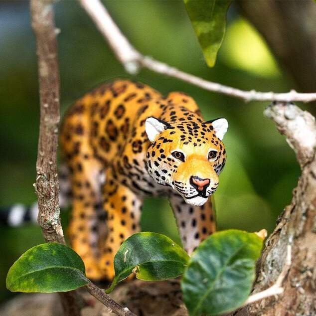 Safari® Jaguár