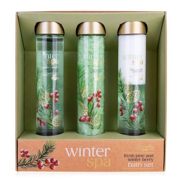 ACCENTRA Set za kupanje Winter Spa cijevi Zimsko voće 2x 60ml + 80g
