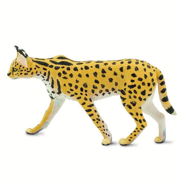 Safari® Serval
