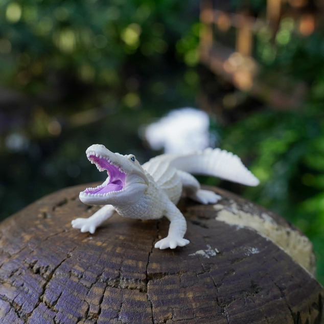 Safari® Aligator alb
