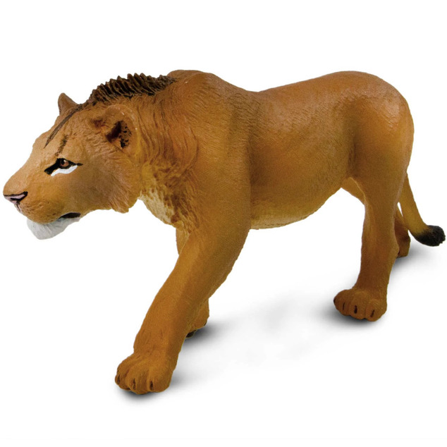 Safari® Dospievajúci lev