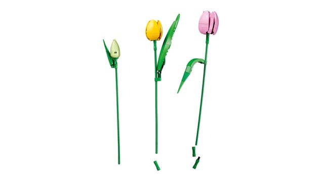 LEGO® Botanicals 11501 Kytica tulipánov