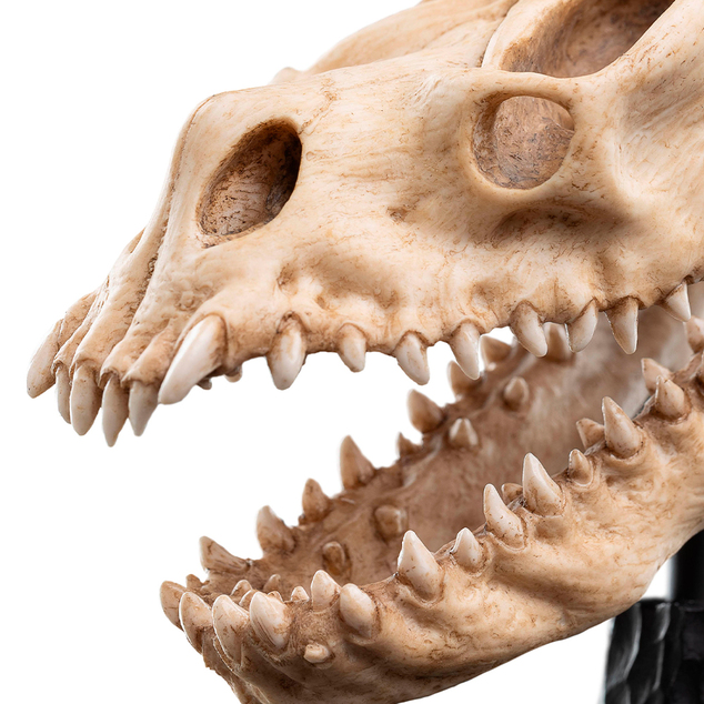 Weta Workshop A Gyűrűk Ura - Egy Bukott Szörny Koponyája Minuature