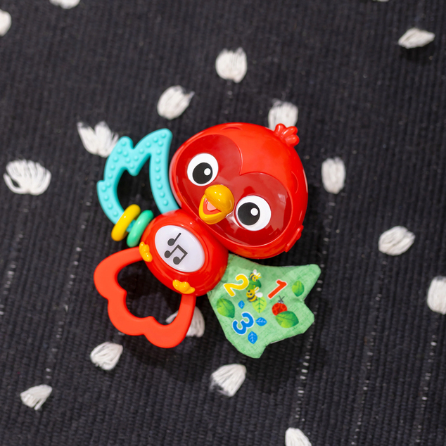 BABY EINSTEIN Igrača glasbena senzorična Roxy's Bright Flight™ 3m+