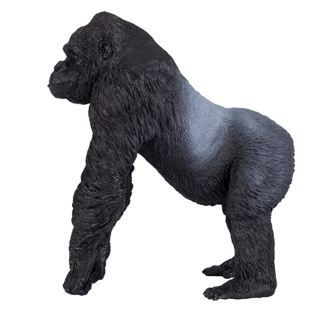 Gorilla maschio Mojo Silverback