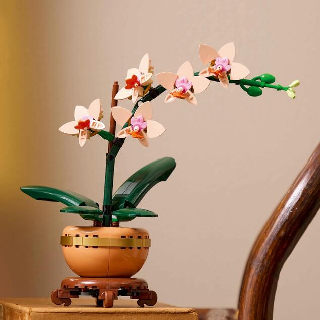 LEGO® Botanicals 10343 Miniatúrna orchidea