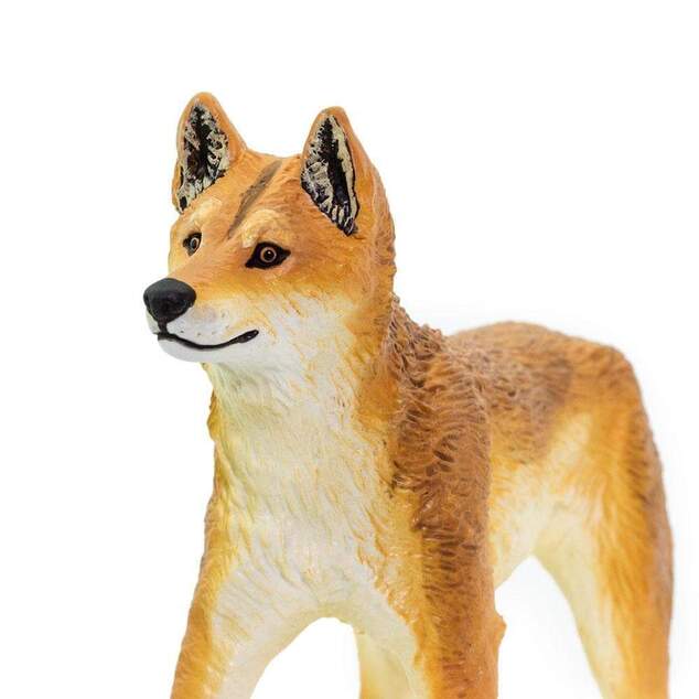 Safari® Dingo