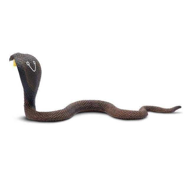 Safari® Kobra