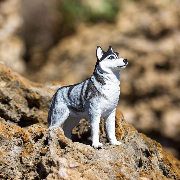 Safari® Sibírsky husky