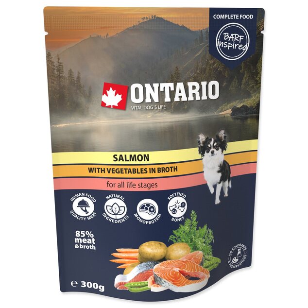 Kapsička Ontario losos so zeleninou vo vývare 300g