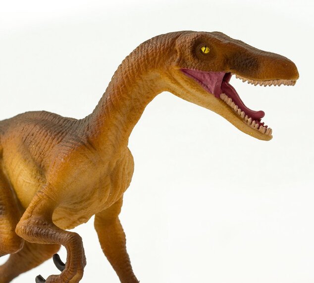 Safari® Velociraptor dinosaurus