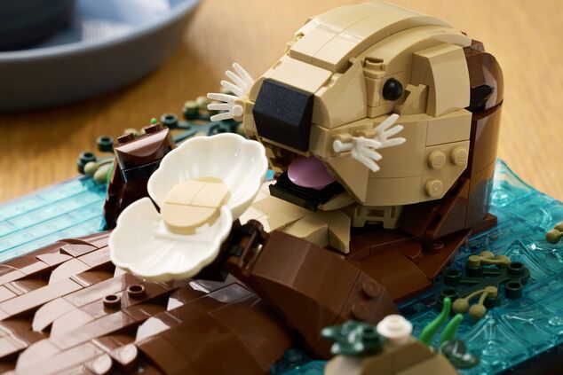 LEGO® Ideas 21366 Plávajúce morské vydry