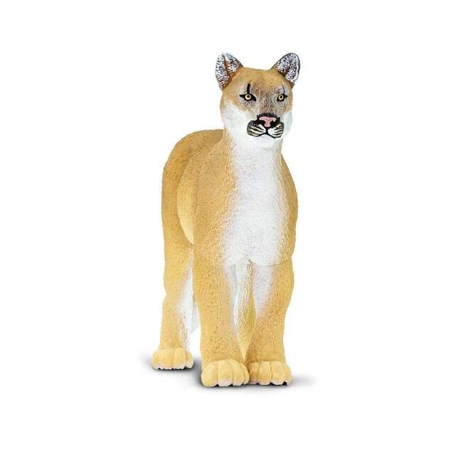 Safari® Puma floridská