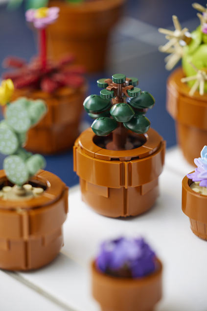 LEGO® Botanicals 10329 Miniatúrne rastliny