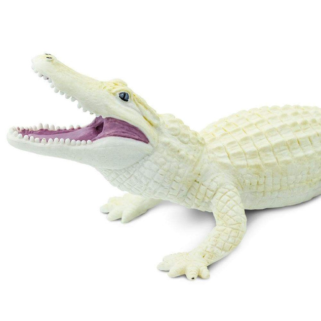 Safari® Aligator alb