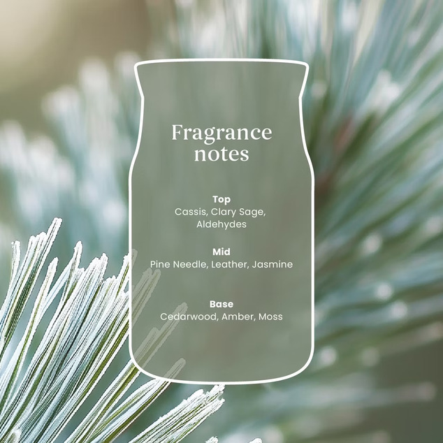 YC Signature Kerze Groß Silver Sage &amp; Pine