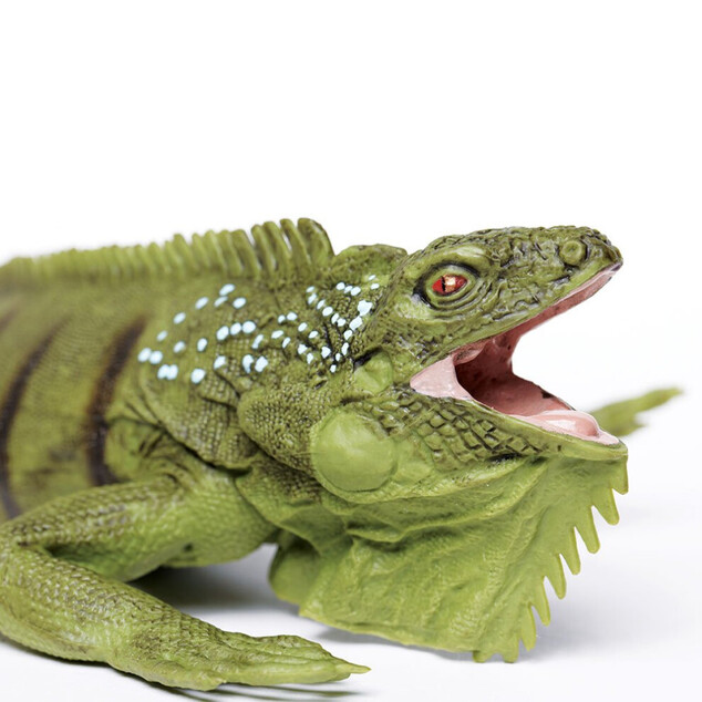 Safari® Iguana zelená