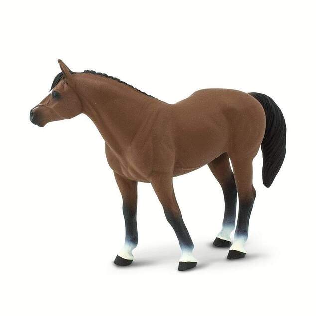 Safari® Quarter horse valach kôň