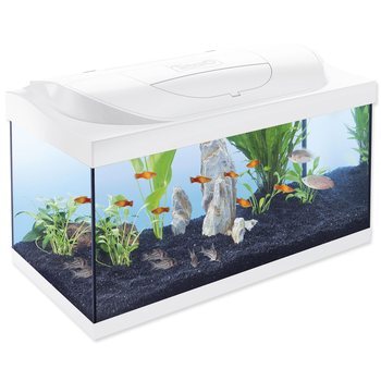 Aquarienset Tetra Starter Line LED weiß 60x30x30cm 54l