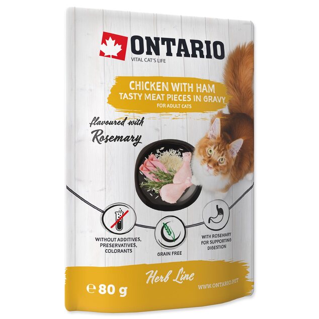 Kapsička Ontario kura so šunkou v omáčke 80g