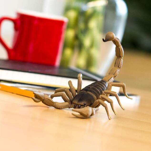 Safari® Škorpión