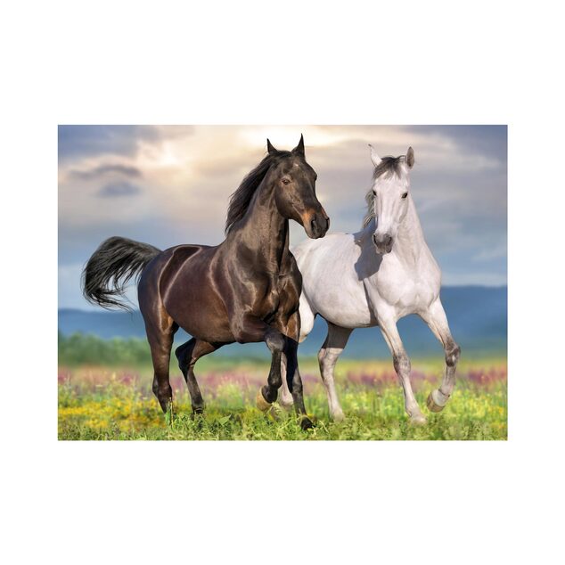 Puzzle Caii îndrăgostiți 500 de piese