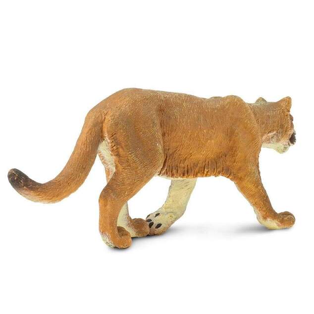 Safari® Puma