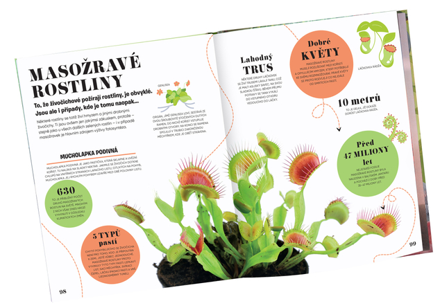 5 MINUT A VÍM: PŘÍRODA – 1000+ základních informací