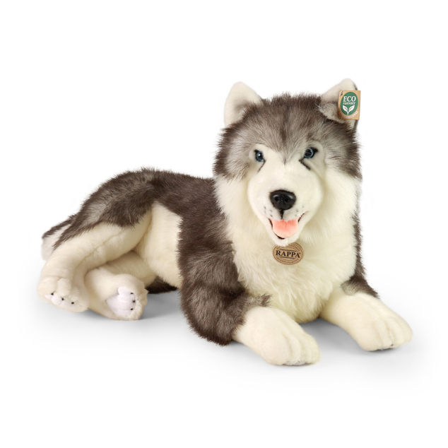 Plišani pas husky ležeći 60 cm EKOLOŠKI PRIJATELJSTVEN.