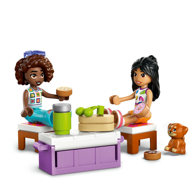 LEGO® Friends 42659 Excursie cu mașina cu prietenii
