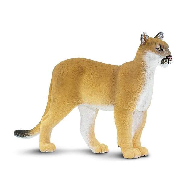 Safari® Puma floridská