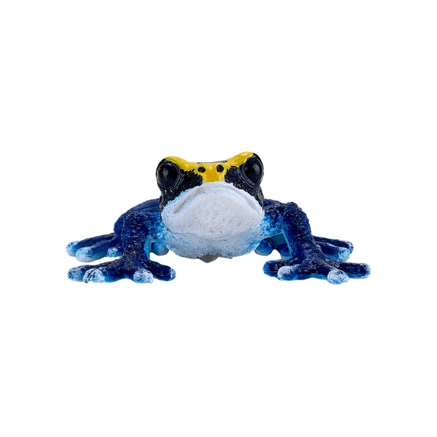 Mon Dendrobate tinctorius