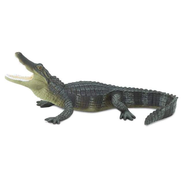 Safari® Aligátor