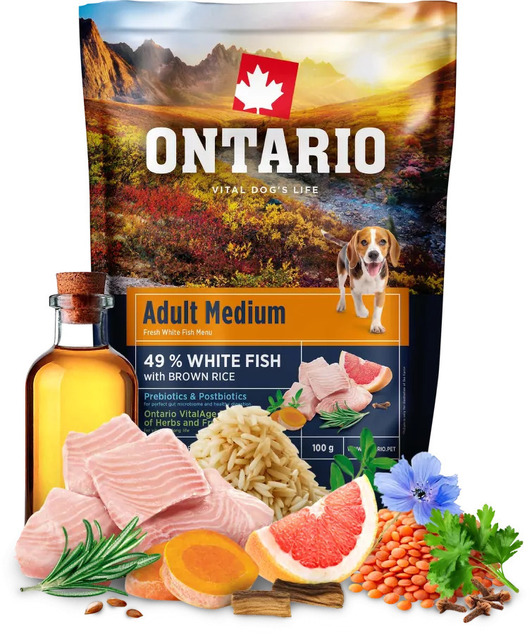 Vzorka Ontario Adult Medium Fish &amp; Brown Rice 0,1kg