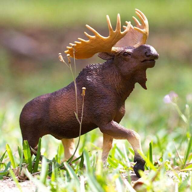 Safari® Los mokraďový XL