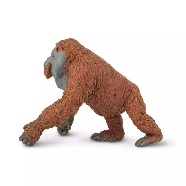 Safari® Orangutan