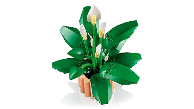 LEGO® Botanicals 11504 Lopatkovec