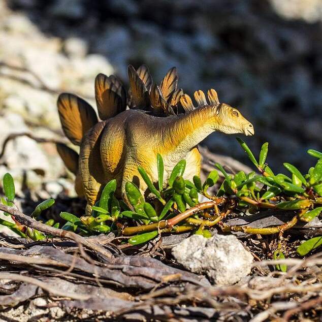 Safari® Stegosaurus dinosaurus