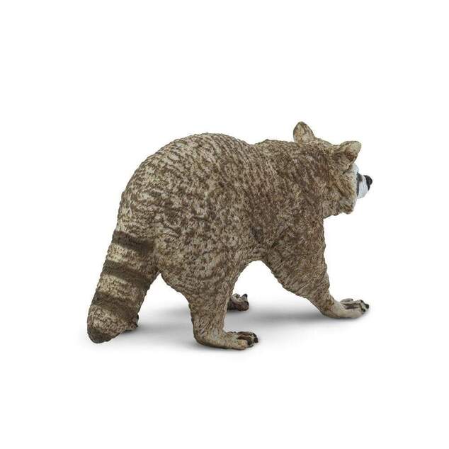 Safari® Mýval