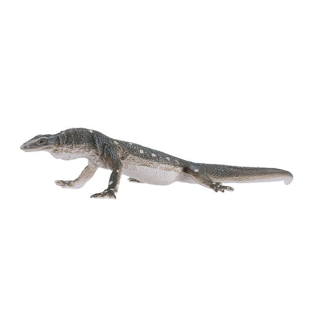 Mojo Varan ogroman