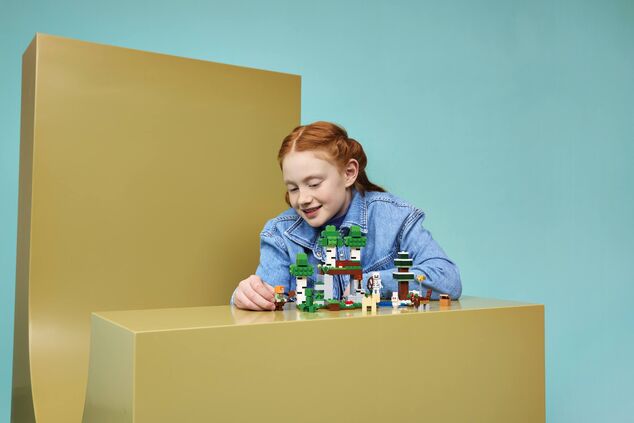 LEGO® Minecraft™ 21593 Prvé nočné dobrodružstvo