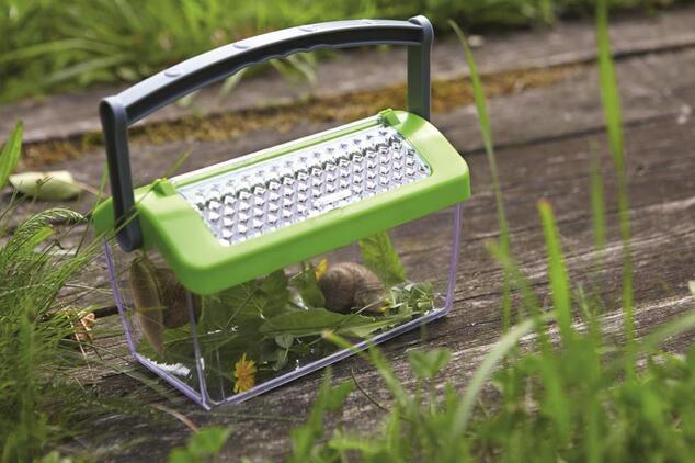 Haba Terra Kids Box zum Beobachten von Insekten mit Griff