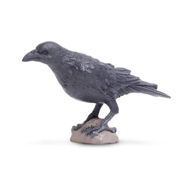 Safari® Krkavec