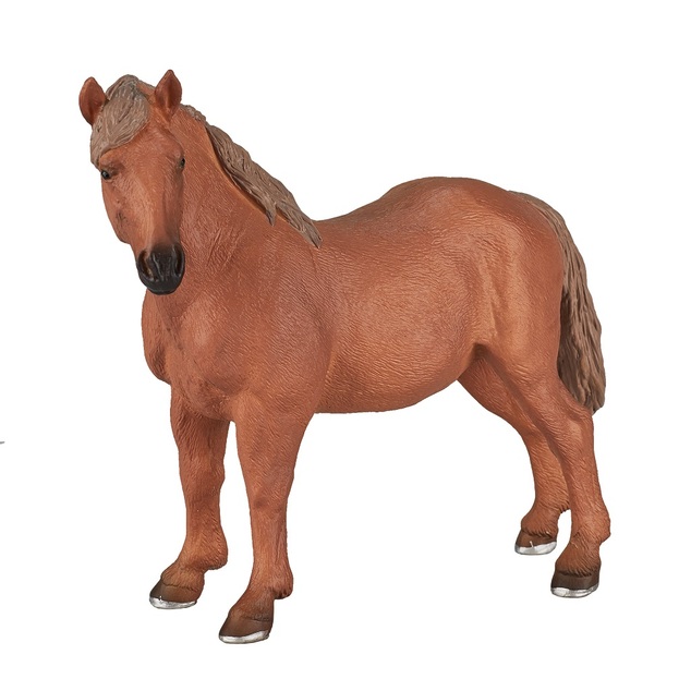Mojo Suffolk punch kobyla