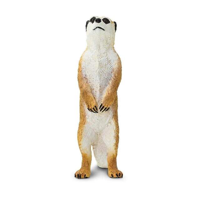Safari® Surikata