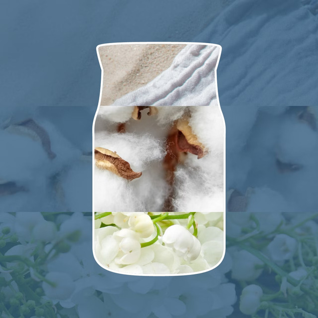 YC Signature Kerze Groß Ocean Air