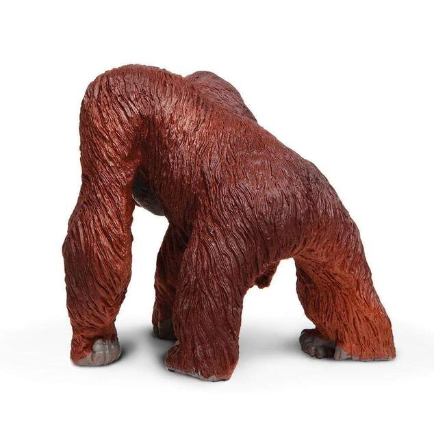 Safari® Borneo-Orang-Utan