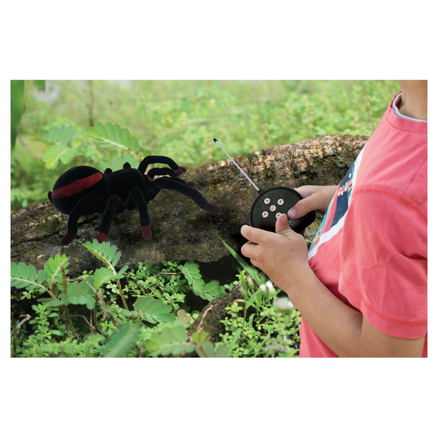 Realistischer ferngesteuerter Spinne