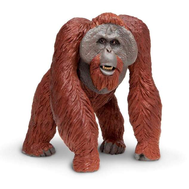 Safari® Borneo-Orang-Utan